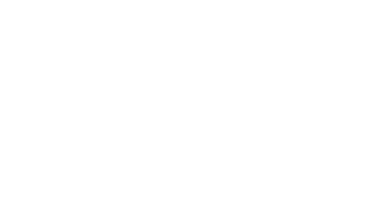 logo be basque