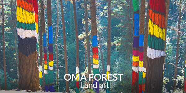 OMA FOREST